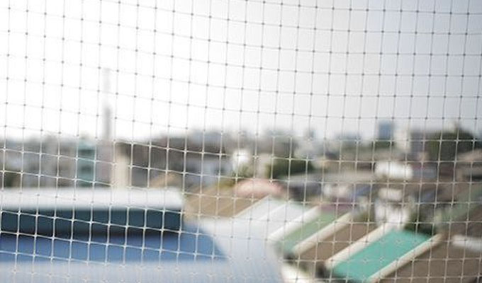 Bird nets in Tirupati