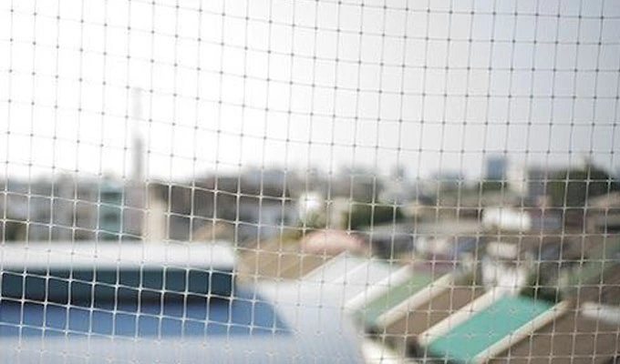 Bird nets in Hyderabad